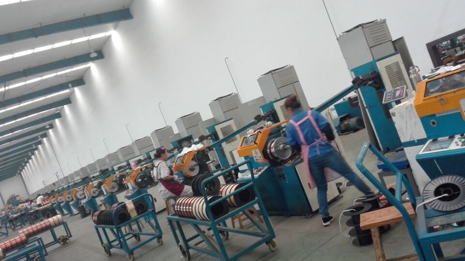 electrodes 6013 1/13